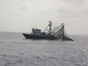 'Almadraba uno' itsasontzia