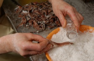 Kontserba enpresa batean beharrean