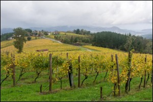 Bilduma hoberenaren argazkietako bat (Eduardo Abaunza)