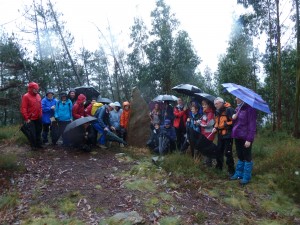 Sorbituagako iruinarriaren ondoan, Busturian