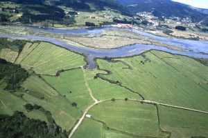 Azti (Fundación), Instituto Tecnológico Pesquero y Alimentario