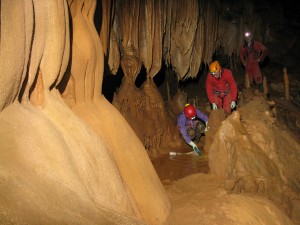 Ana Camacho ikerlaria, Goikoetxe koban laginak hartzen