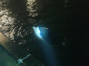 Ontzi bat iraulita, Bermeon