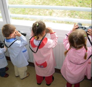 Umeak hegaztien jantokia behatzen