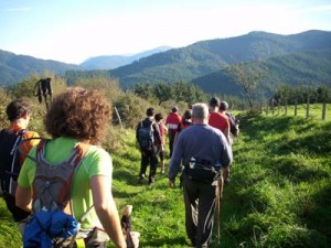 GOIZALE_MENDI_TALDEA