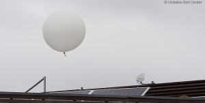 Fotograma grabado  (4)