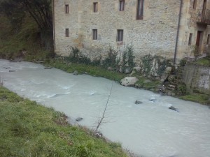 Oka ibaia gris koloreagaz