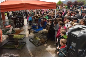 Jendetza batu zen iaz Morgako Azokan