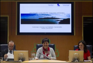 Iratxe Arriola batzordean azalpenak ematen hasi baino lehenago