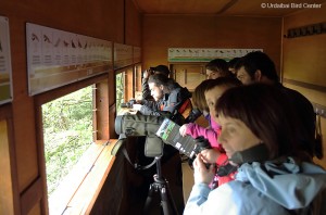 Iaz, Hegazti Migratzaileen Mundu Mailako Egunean