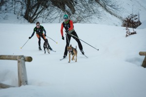 Skijoring-ean bigarren egin zuen Rodriguezek Euskadiko Txapelketan. Aurrekoa da arratzuarra