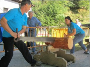 Irudian trontza saio bat