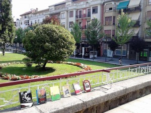 1558376_670209049700433_4100977746024470717_n