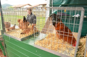 Euskal oiloa, Mendatako azokan /Endika Urlezaga