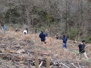 Boluntarioak, Amunategiren ibarrean lanean