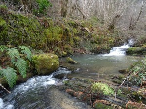 Busturiko Amunategi erreka