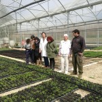 Joseneako negutegiak