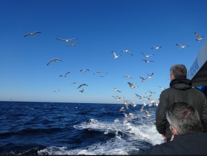 Abenduan egin zuten irteera