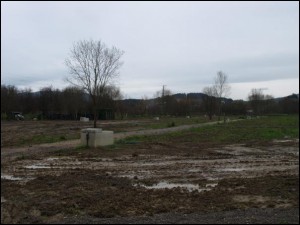 Ortu ekologikoak Gernika-Lumon