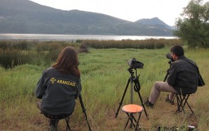 Bi ornitologo behaketak egiten Urdaibaiko paduran. Argazkilaria: Urdaibai Bird Center