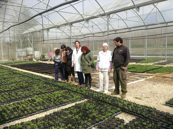 Joseneako negutegiak