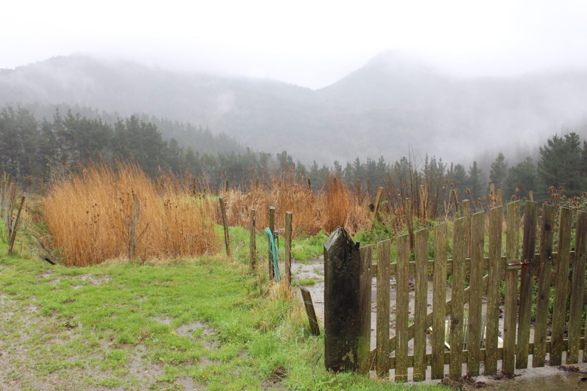 araztegi berdea Ibarrangelu