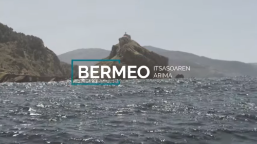 bermeoko udala bideoa