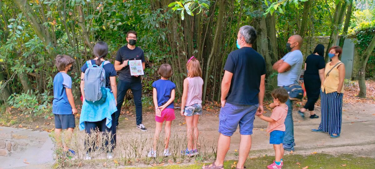 familia tailerra
