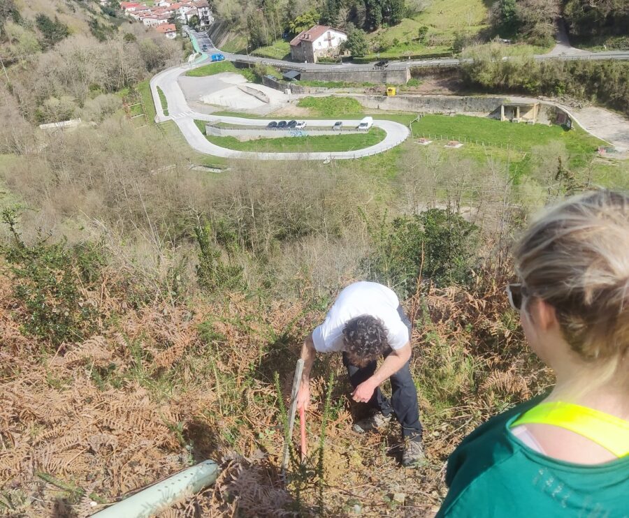 besaia