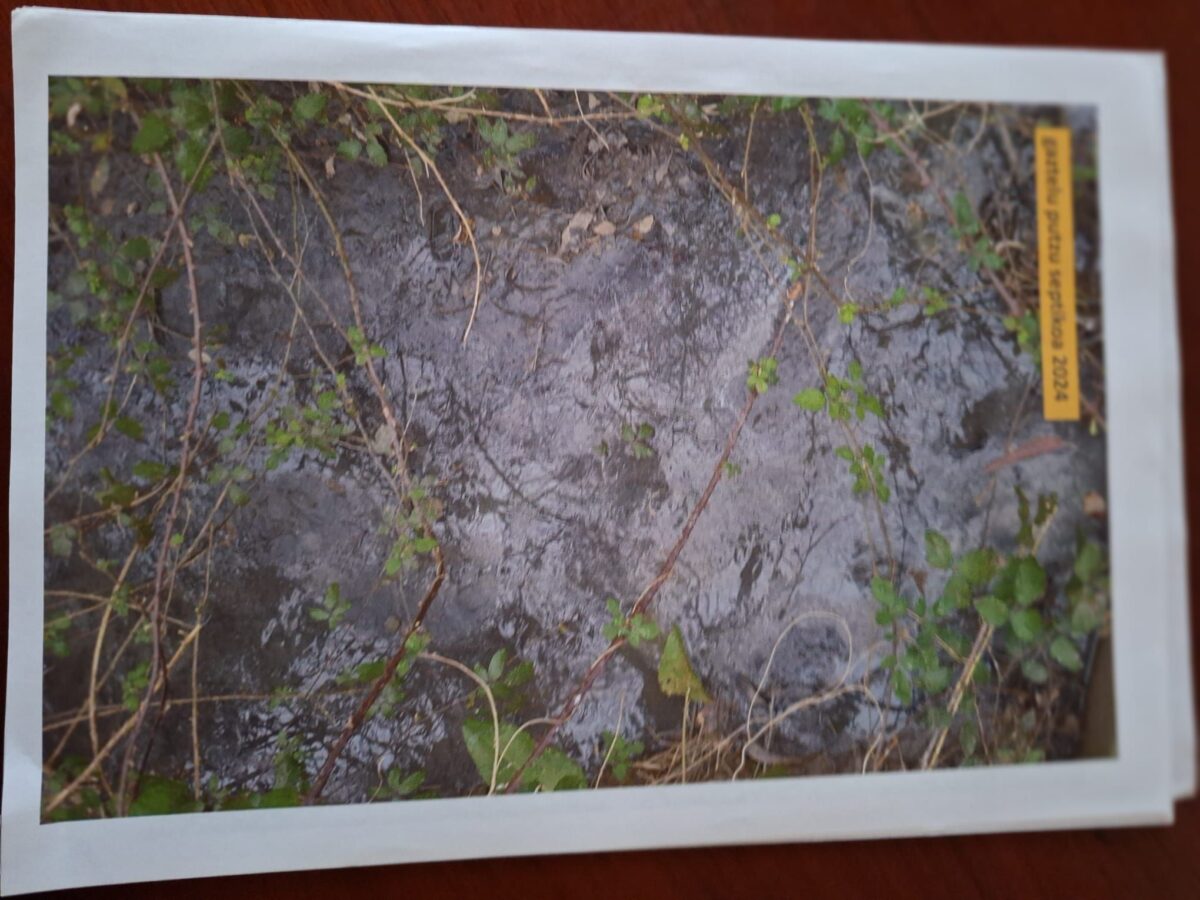 Ajangizko sanemaendua