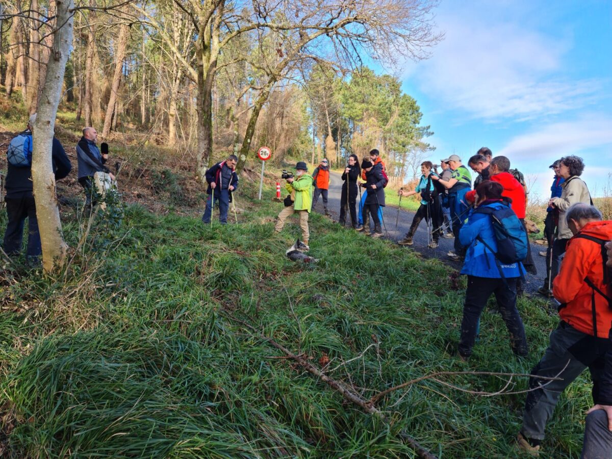 Gernikazarra Historia Taldea